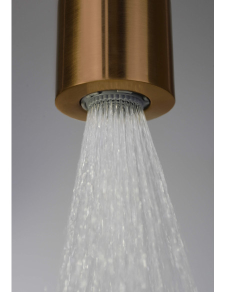 Deante Silia Dušas kolonna, ar dušas maisītāju NQS_C4XM