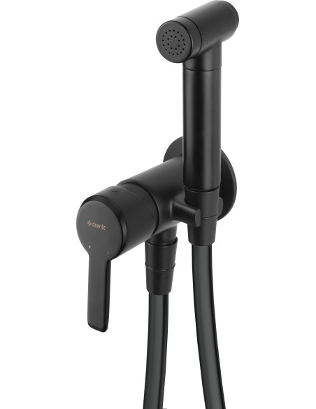 Deante Arnika bidē krāns, slēptais, ar Bidetta rokas dušu BQA_N34M