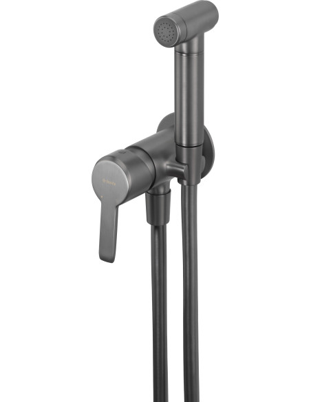 Deante Arnika Bidē krāns, slēpts, ar bidē rokas dušu BQA_D34M