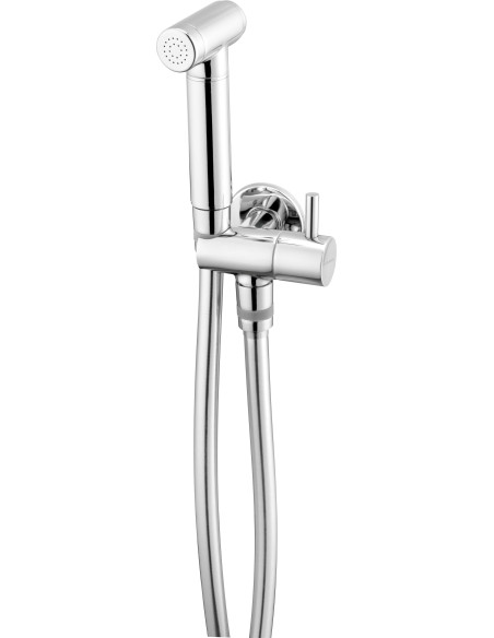 Deante Bidetta Bidetta komplekts ar fiksētu kronšteinu, ar leņķisko savienotāju - rokas dušas turētāju ANW_051B