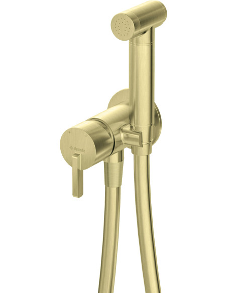 Deante Silia bidē krāns, slēpts, ar bidetta rokas duša BQS_R34M