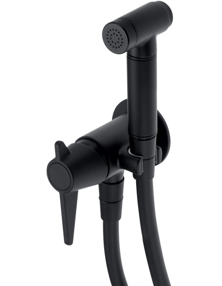 Deante Temisto bidē krāns, slēpts, ar bidē rokas dušu BQT_N34M