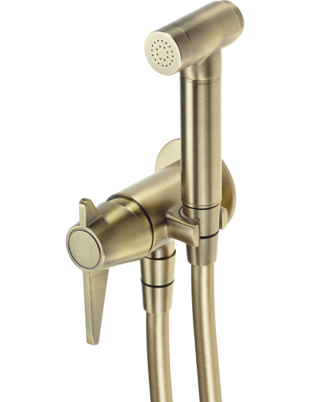 Deante Temisto bidē krāns, slēpts, ar bidē rokas dušu BQT_M34M