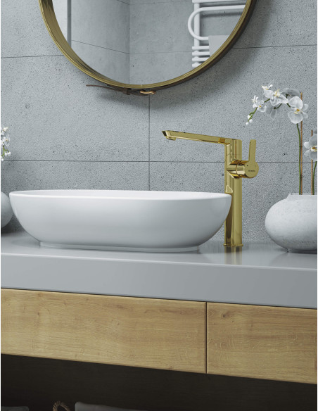 Deante Arnika Izlietnes krāns, augsts BQA_Z20K