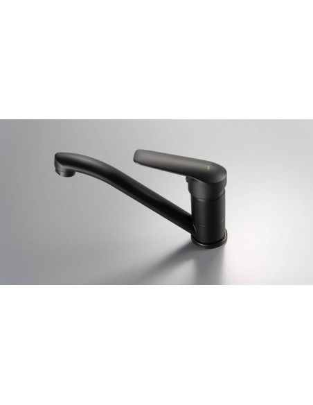 Deante Boro izlietnes krāns ar grozāmu snīpi BMO_N26M