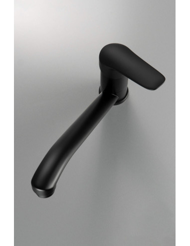 Deante Boro izlietnes krāns ar grozāmu snīpi BMO_N26M