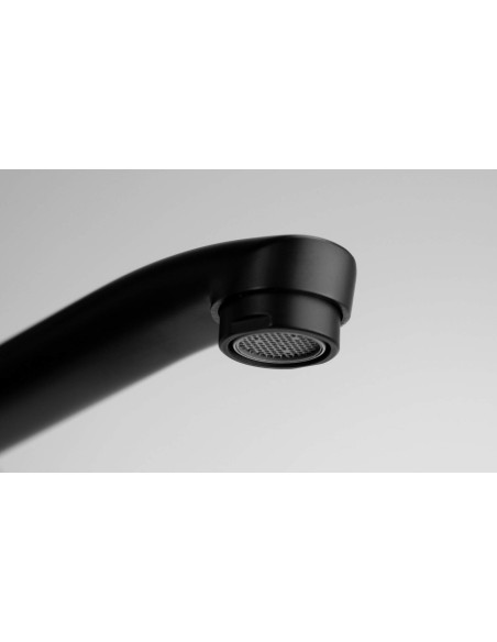 Deante Boro Izlietnes jaucējkrāns, stiprināms pie sienas, ar pagarinātu snīpi - šļūtenes savienojums BMO_N56M