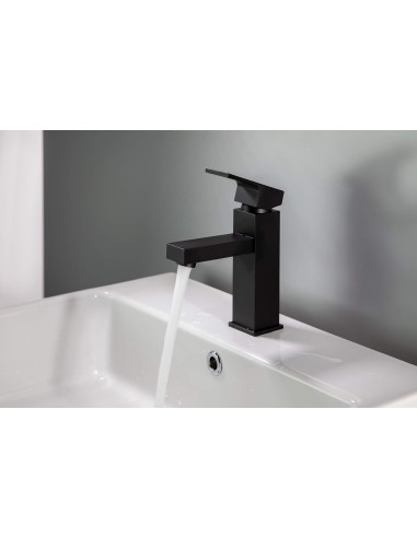 Deante Anemon izlietnes krāns BBZ_N20M