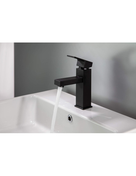 Deante Anemon izlietnes krāns BBZ_N20M