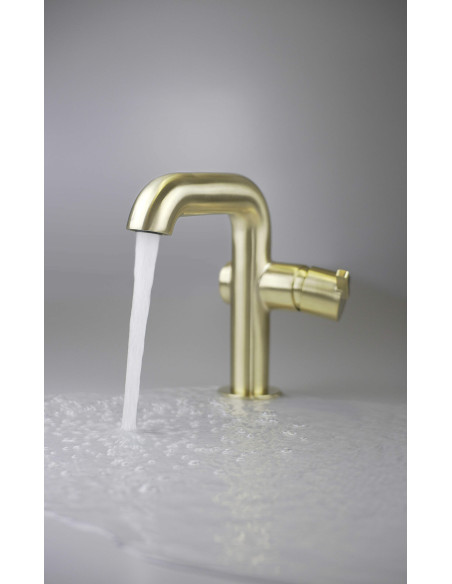 Deante Silia izlietnes krāns, ar taisnstūra snīpi BQS_R24M