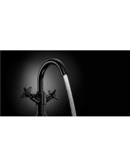 Deante Temisto izlietnes krāns BQT_N20D