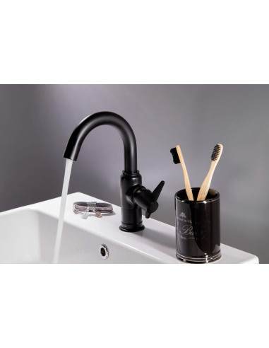 Deante Temisto izlietnes krāns BQT_N20M