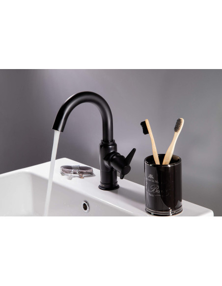 Deante Temisto izlietnes krāns BQT_N20M