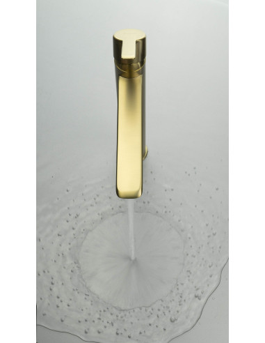 Deante Arnika Izlietnes krāns, augsts BQA_R20N