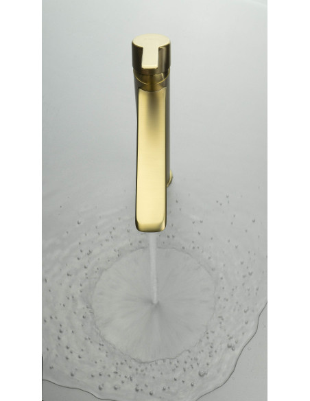 Deante Arnika Izlietnes krāns, augsts BQA_R20N