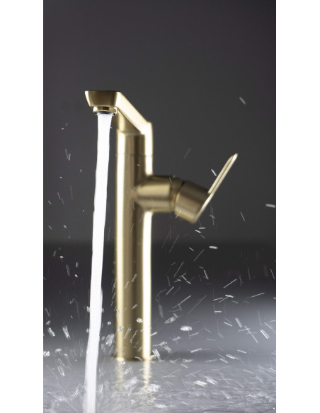 Deante Arnika Izlietnes krāns, augsts BQA_R20K