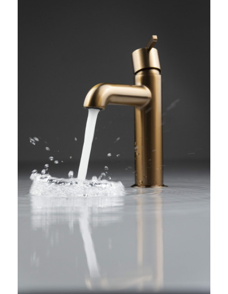 Deante Silia izlietnes krāns BQS_C20M