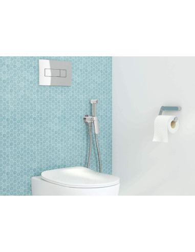 Deante Peonia Tualetes komplekts, iebūvējams, 6 1 gab. CDES6ZPW