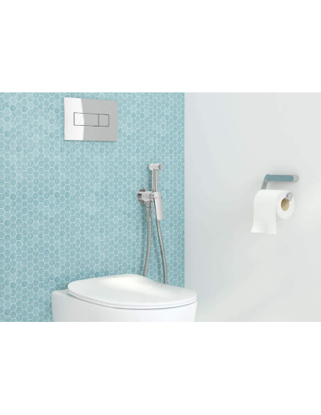 Deante Peonia Tualetes komplekts, iebūvējams, 6 1 gab. CDES6ZPW