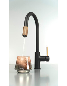 Deante Aster virtuves jaucējkrāns, ar ūdens filtra pieslēgumu BCA_B64M 2