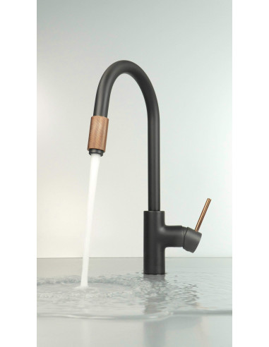 Deante Aster virtuves jaucējkrāns, ar ūdens filtra pieslēgumu BCA_B64M