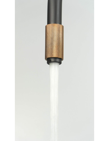 Deante Aster virtuves jaucējkrāns, ar ūdens filtra pieslēgumu BCA_B64M