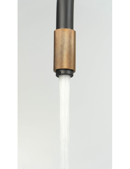 Deante Aster virtuves jaucējkrāns, ar ūdens filtra pieslēgumu BCA_B64M