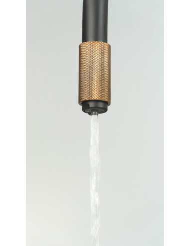 Deante Aster virtuves jaucējkrāns, ar ūdens filtra pieslēgumu BCA_B64M