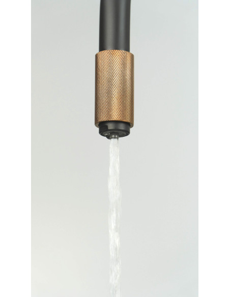 Deante Aster virtuves jaucējkrāns, ar ūdens filtra pieslēgumu BCA_B64M