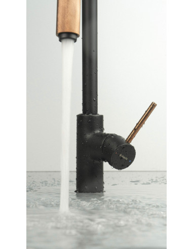 Deante Aster virtuves jaucējkrāns, ar ūdens filtra pieslēgumu BCA_B64M