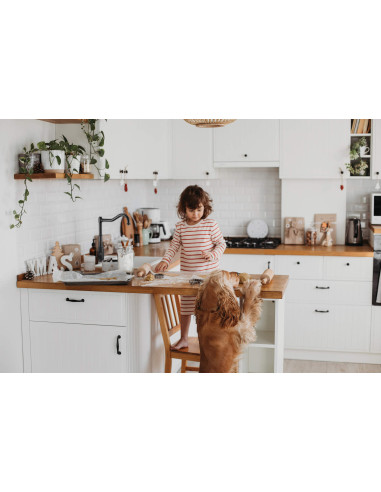 Virtuves jaucējkrāns ar zobu sietu, taisnstūra snīpi BQT_D63M