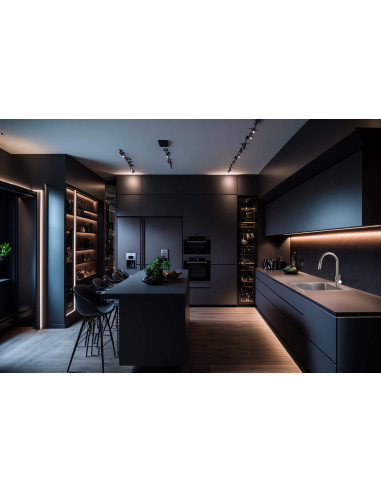 Deante Lima virtuves krāns ar izvelkamu snīpi - 2 straumēšanas veidi BBM_F72M