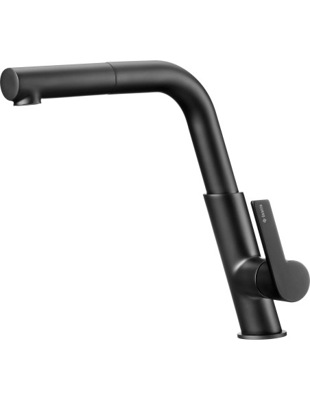 Deante Silia Virtuves krāns, ar izvelkamu snīpi BQS_N73M