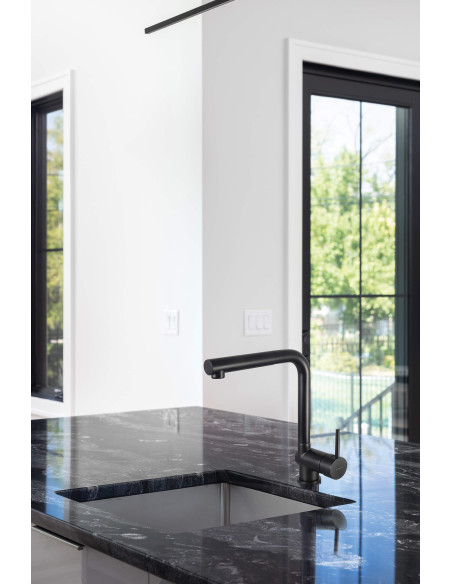 Deante Aster virtuves krāns ar izvelkamu snīpi BCA_N73M