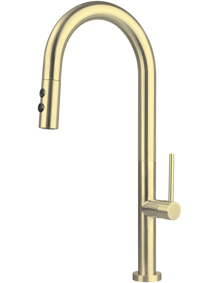 Deante Olfato Virtuves jaucējkrāns, ar izvelkamu snīpi - 2 straumes veidi BQO_R72M Deante Olfato Virtuves jaucējkrāns, ar izvelkamu snīpi - 2 straumes veidi BQO_R72M