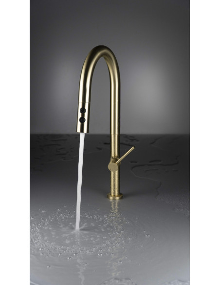 Deante Olfato Virtuves jaucējkrāns, ar izvelkamu snīpi - 2 straumes veidi BQO_R72M Deante Olfato Virtuves jaucējkrāns, ar izvelkamu snīpi - 2 straumes veidi BQO_R72M