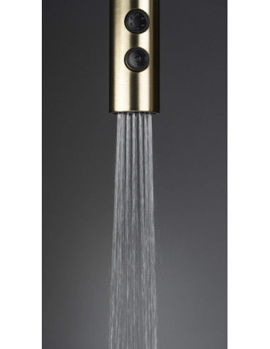 Deante Olfato Virtuves jaucējkrāns, ar izvelkamu snīpi - 2 straumes veidi BQO_R72M