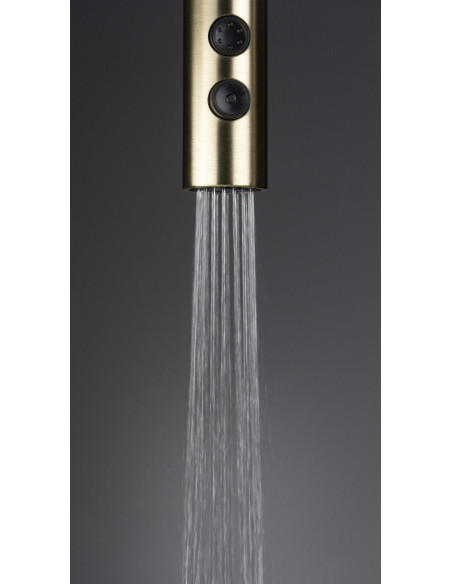 Deante Olfato Virtuves jaucējkrāns, ar izvelkamu snīpi - 2 straumes veidi BQO_R72M Deante Olfato Virtuves jaucējkrāns, ar izvelkamu snīpi - 2 straumes veidi BQO_R72M