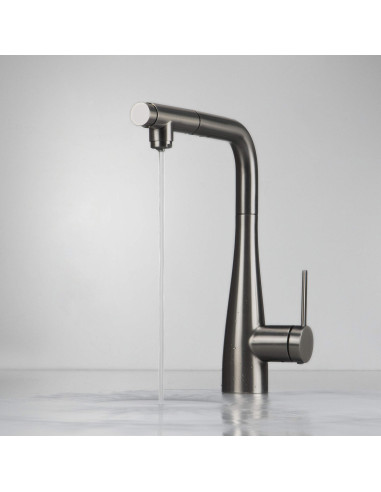 Deante Eridan virtuves jaucējkrāns ar ūdens filtra savienojumu, ar izvelkamu snīpi BRE_D75M