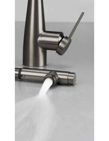 Deante Eridan virtuves jaucējkrāns ar ūdens filtra savienojumu, ar izvelkamu snīpi BRE_D75M