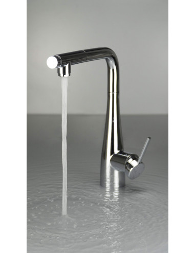 Deante Eridan virtuves jaucējkrāns ar ūdens filtra savienojumu, ar izvelkamu snīpi BRE_075M