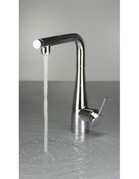 Deante Eridan virtuves jaucējkrāns ar ūdens filtra savienojumu, ar izvelkamu snīpi BRE_075M