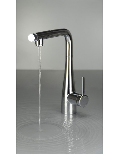 Deante Eridan virtuves jaucējkrāns ar ūdens filtra savienojumu, ar izvelkamu snīpi BRE_075M