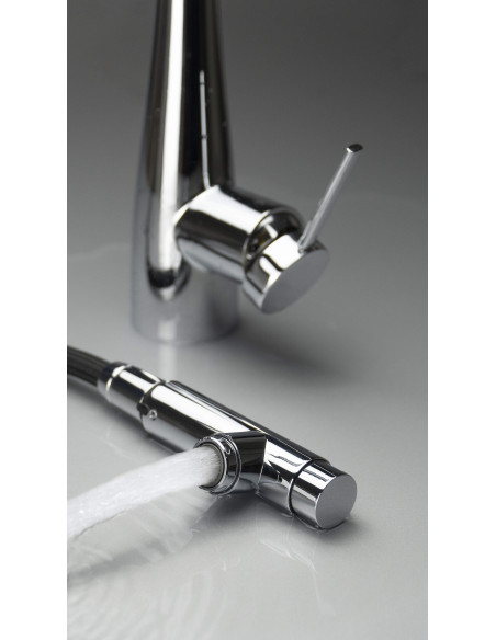 Deante Eridan virtuves jaucējkrāns ar ūdens filtra savienojumu, ar izvelkamu snīpi BRE_075M