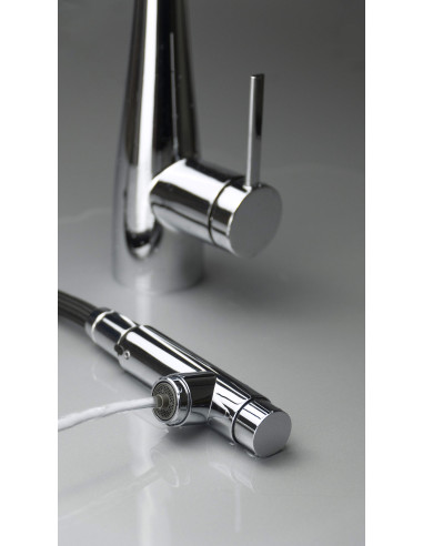 Deante Eridan virtuves jaucējkrāns ar ūdens filtra savienojumu, ar izvelkamu snīpi BRE_075M