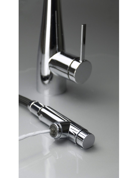 Deante Eridan virtuves jaucējkrāns ar ūdens filtra savienojumu, ar izvelkamu snīpi BRE_075M