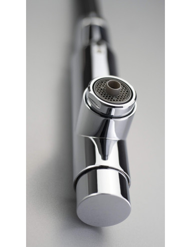 Deante Eridan virtuves jaucējkrāns ar ūdens filtra savienojumu, ar izvelkamu snīpi BRE_075M