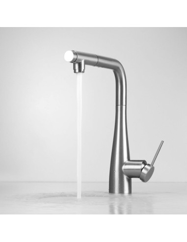 Deante Eridan virtuves jaucējkrāns ar ūdens filtra savienojumu, ar izvelkamu snīpi BRE_F75M