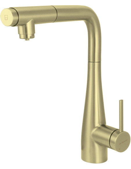 Deante Eridan virtuves jaucējkrāns ar ūdens filtra savienojumu savienojums, ar izvelkamu snīpi BRE_R75M