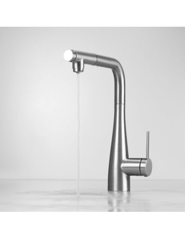 Deante Eridan virtuves jaucējkrāns ar ūdens filtra savienojumu, ar izvelkamu snīpi BRE_F75M